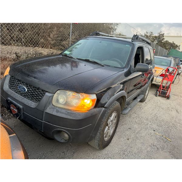 FORD  ESCAPE  2006 T-TMU