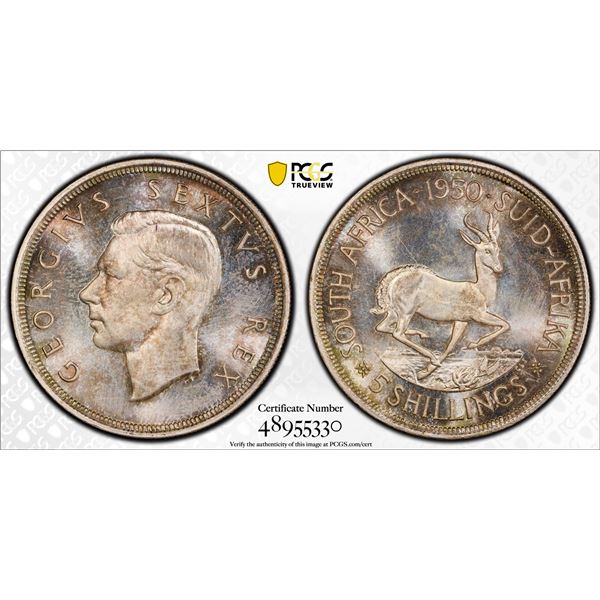 SOUTH AFRICA: George VI, 1936-1952, AR 5 shillings, 1950, PCGS Proof 67