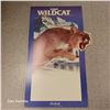 Image 1 : Thick Cardbaord Labatt Wildcat Sign