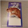Image 4 : Thick Cardbaord Labatt Wildcat Sign