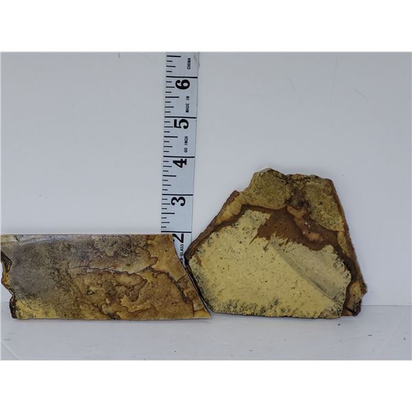 Lot of 2 Picture Jasper Slab Rocks