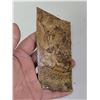 Image 3 : Lot of 2 Picture Jasper Slab Rocks
