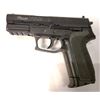 Image 3 : SIG Sauer SP2022 .177 cal BB Pistol Custom Tactical Kit