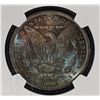 Image 4 : 1896 MORGAN DOLLAR NGC MS-63 GREAT COLOR