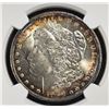 Image 3 : 1900-O MORGAN DOLLAR NGC MS-63 COLOR