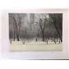 Image 1 : Harold Altman Winter