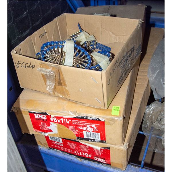 3 BOXES OF COIL SCREWS AND #6 SENCO DRYWALL
