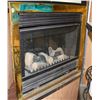 Image 1 : FIRE PLACE INSERT W/ BRASS TRIM