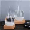 Image 1 : Storm glass x1