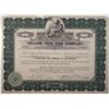 Image 1 : Yellow Taxi Cab Company of Los Angeles 1920 I/U Stock Certificate Rarity