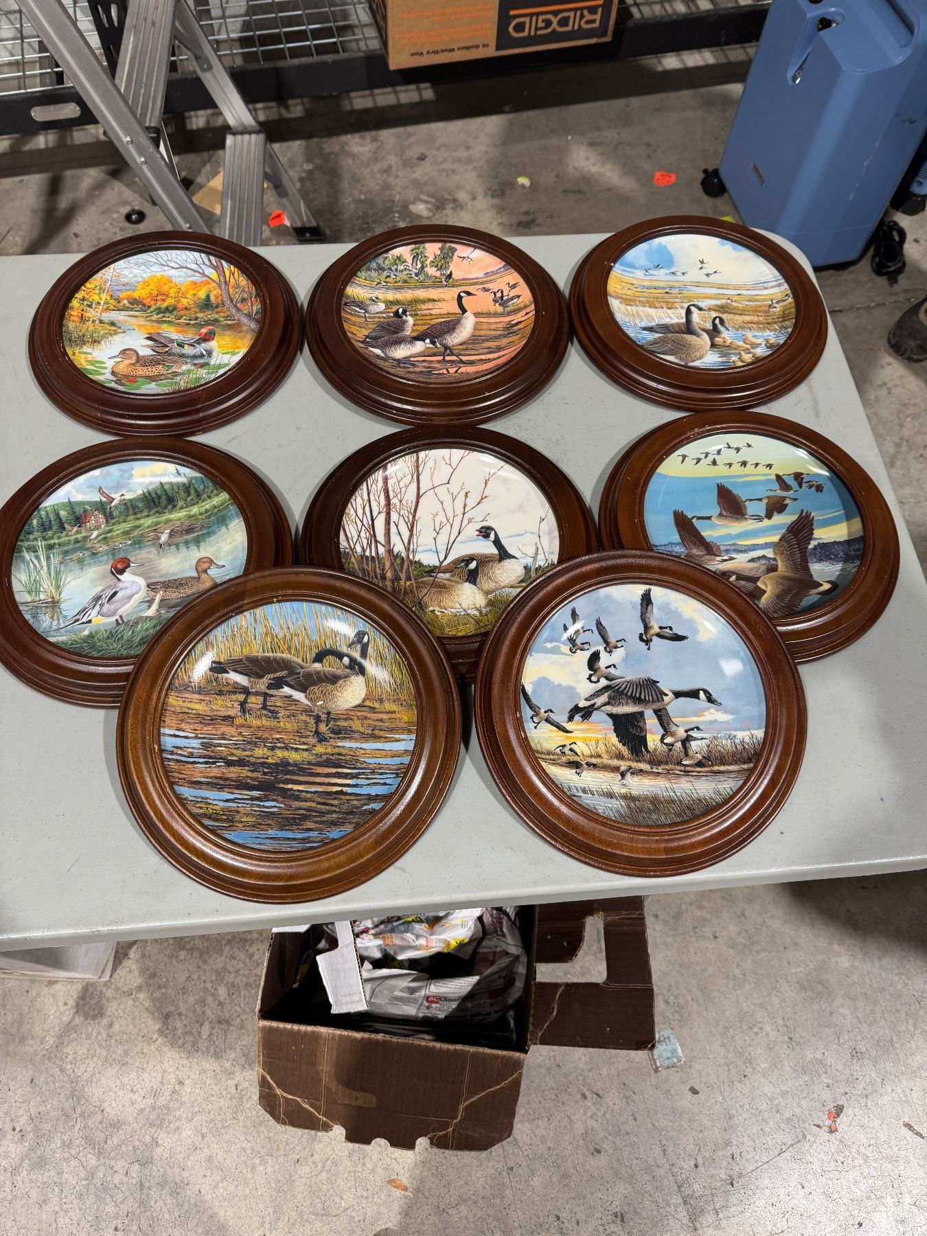 Collector plates and frames