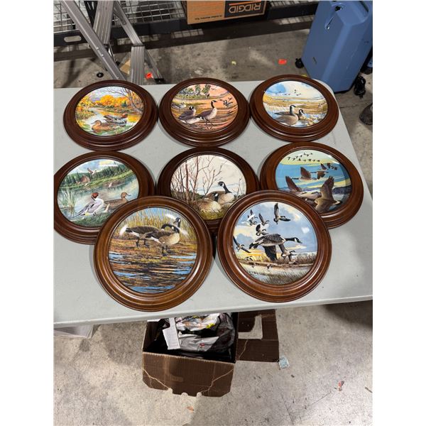 Collector plates and frames