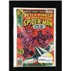 Image 1 : MARVEL COMICS NO.27 PETER PARKER THE SPECTACULAR SPIDERMAN