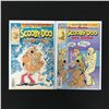 Image 1 : LOT OF 2 SCOOBY DOO COMICS (HARVEY COMICS)