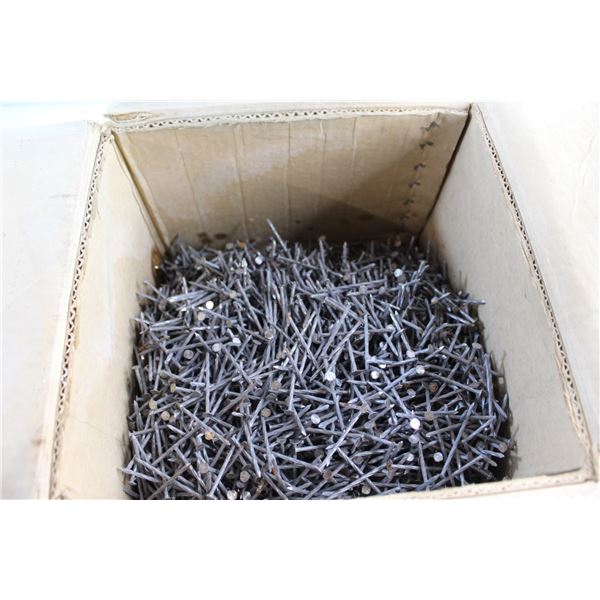 Box of Nails
