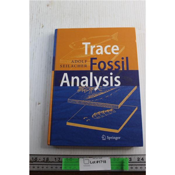 Trace Fossil Analysis Book by Adolf Sellacher