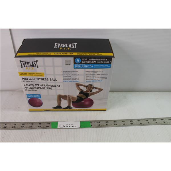 Everlast Exercise Ball- NIB
