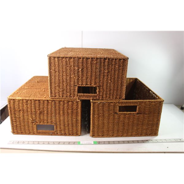 (3) Woven Totes 19" Long x 15" Wide x 8.5" Deep