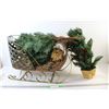 Image 1 : *Sled Christmas Decoration and Small Tree