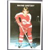 Image 1 : 1987-88 WAYNE GRETZKY (HOF) JUNIOR CARD