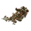 Image 2 : Large Vintage Chinese Jade Tree