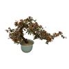 Image 3 : Large Vintage Chinese Jade Tree