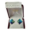 Image 1 : Pair Of Native American Dd Sterling Silver Earrings