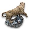 Image 2 : Chinese Porcelain Tiger