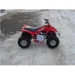 2006 Wildfire 110cc