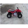 Image 1 : 2006 Wildfire 110cc