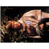 Image 1 : Star Wars Mark Hamill signed photo
