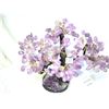 Image 5 : Amethyst Tree A