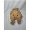 Image 12 : Vintage Teddy Bears A