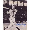 Image 1 : Pete Gray signed photo