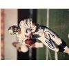 Image 1 : Miami DolphinsDan Marino signed photo