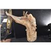 Image 3 : CARVED WOOD PELE CARVING, ATTRIBUTED TO PAUL FUJIMOTO (16" X 13")