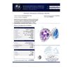 Image 4 : 3.17 ctw Blue and Purple Sapphire and 0.45 ctw Diamond Platinum Ring (GIA CERTIF