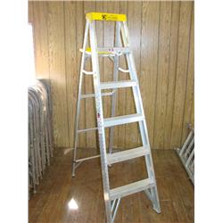 Davidson 6 ft. Almuminum ladder