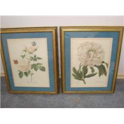 2 framed floral prints in gold frames