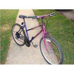 Trailworks Huffy Bike