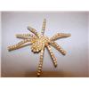 Image 1 : Rhinestone spider brooch