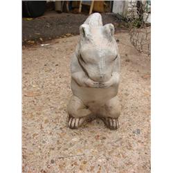 Cement Yard Squirrel