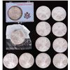 Image 1 : FINE SILVER EAGLE BULLION COINS 1987-2024 - (12)