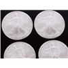 Image 3 : FINE SILVER EAGLE BULLION COINS 1987-2024 - (12)