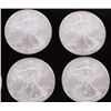 Image 4 : FINE SILVER EAGLE BULLION COINS 1987-2024 - (12)