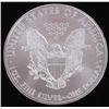 Image 5 : FINE SILVER EAGLE BULLION COINS 1987-2024 - (12)