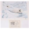 Image 1 : CHARLES FRACE PEACE ON ICE SIGNED LMTD PRINT