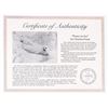 Image 2 : CHARLES FRACE PEACE ON ICE SIGNED LMTD PRINT