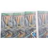 Image 2 : SUPERMAN & BATMAN COLLECTIBLE COMIC BOOKS - (12)