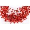 Image 2 : 14K YELLOW GOLD-CLASPED RED CORAL CHIP NECKLACE